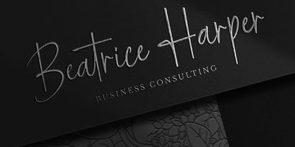 Cattalina Signature Font Poster 5