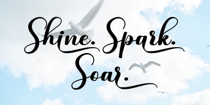 Amisha Font Poster 9