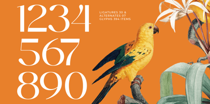 Midnight Goyage Font Poster 9