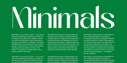 Midnight Goyage Font Poster 12