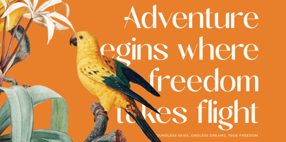 Midnight Goyage Font Poster 4