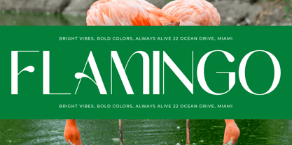 Midnight Goyage Font Poster 14