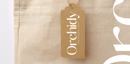 Midnight Goyage Font Poster 6