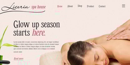 Retropicale Font Poster 12