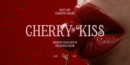 Retropicale Font Poster 4