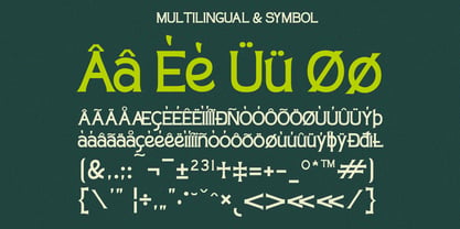 Sanstoy Font Poster 10