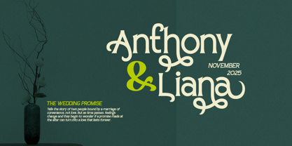 Sanstoy Font Poster 11