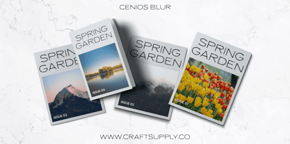 Cenios Blur Font Poster 3