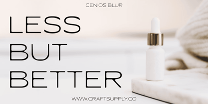 Cenios Blur Font Poster 2