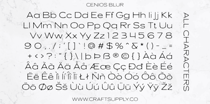 Cenios Blur Font Poster 6
