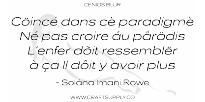 Cenios Blur Font Poster 5