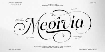 Megivia Font Poster 1