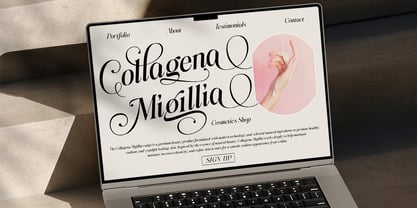 Megivia Font Poster 3