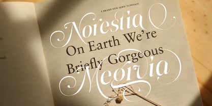 Megivia Font Poster 2