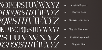 Megivia Font Poster 7