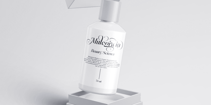 Megivia Font Poster 12