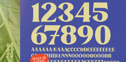 Melody Kingda Font Poster 13