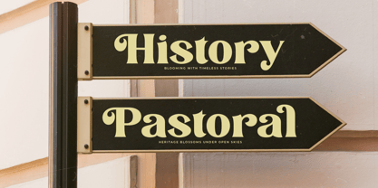 Melody Kingda Font Poster 10