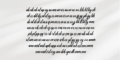 Shinerak Mottage Font Poster 14