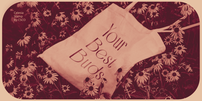 Celesia Stamp Font Poster 5