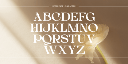 Choga Font Poster 8