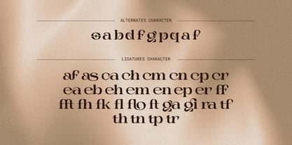 Choga Font Poster 14