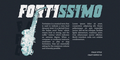 Celan Rough Font Poster 2