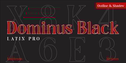 Dominus Black Font Poster 9