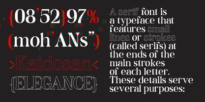 Dominus Black Font Poster 8