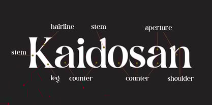 Dominus Black Font Poster 5