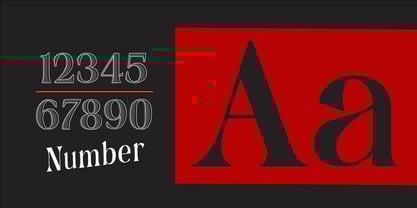 Dominus Black Font Poster 2