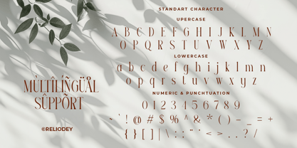 Reilodey Font Poster 9