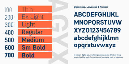 Agyx Sans Variable Font Poster 6
