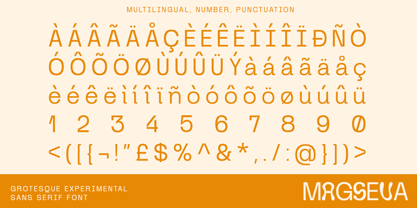 Magseva Font Poster 10