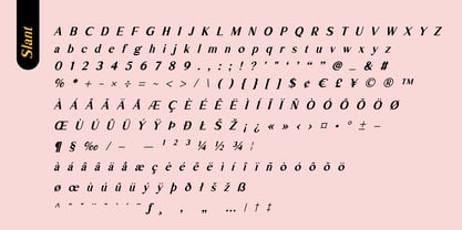 Fox Amoria Font Poster 12