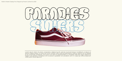 Rodino Font Poster 8