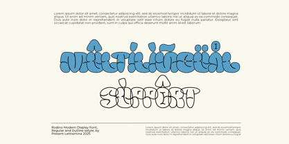 Rodino Font Poster 12
