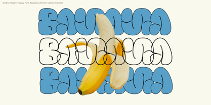 Rodino Font Poster 9