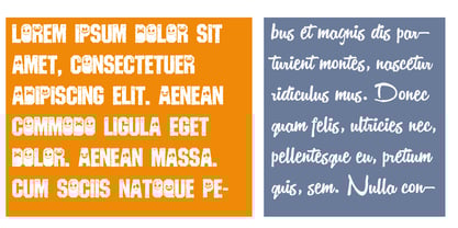 ZP Jersey Jack Font Poster 5