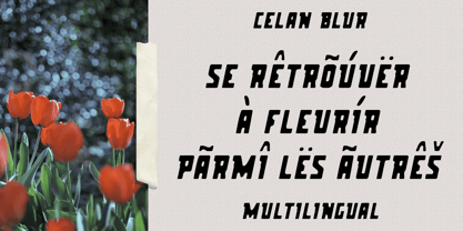 Celan Blur Font Poster 5