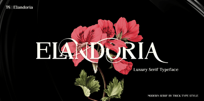 Elandoria Font Poster 1