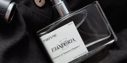 Elandoria Font Poster 8