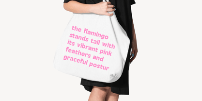 Mighty Swifta Font Poster 5