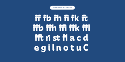 Mighty Swifta Font Poster 13