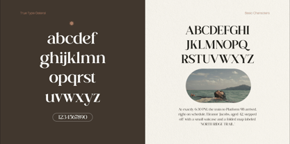 TRT Gateral Font Poster 14