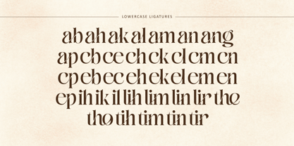 Bitho Luxury Font Poster 10