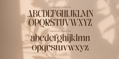 Bitho Luxury Font Poster 7