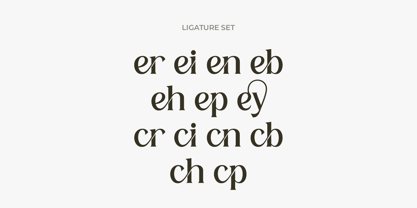 Herkey Slant Font Poster 9