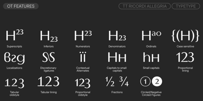 TT Ricordi Allegria Font Poster 12