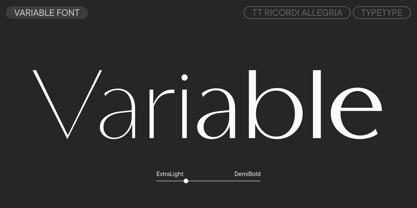 TT Ricordi Allegria Font Poster 5